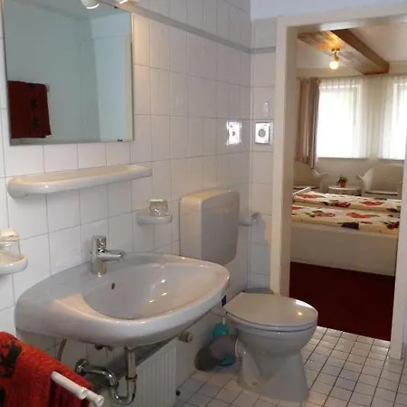 Guest house Hotel-cafe-restaurant Parkhaus 3*