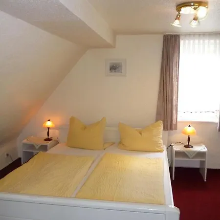 Hotel-cafe-restaurant Parkhaus Guest house Altenau (Lower-Saxony)