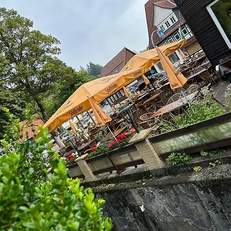 Maison d'hôtes Hotel-café-restaurant Parkhaus