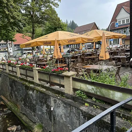 Hotel-café-restaurant Parkhaus Maison d'hôtes Altenau (Lower-Saxony)